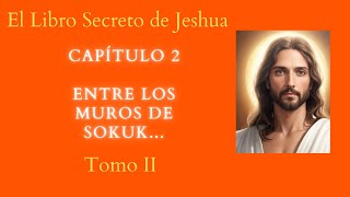 CAPÍTULO 2 ENTRE LOS MUROS DE SOKUK / EL LIBRO SECRETO DE JESHUA / TOMO II / DANIEL MEUROIS