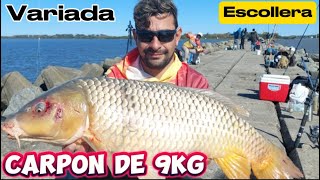 ♦️Pesca en lugar gratis | espigón