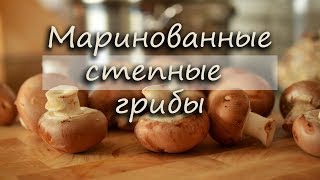 Маринованные грибы. Самый вкусный и простой рецепт. Степной гриб