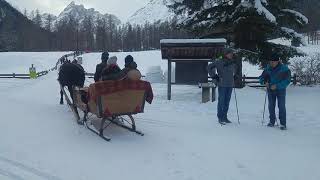 sled with horses on the snow Dolomites