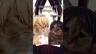 Shinomiya VS Shirogane