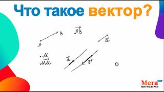 Что такое вектор? | Коллинеарные векторы | Сонаправленные векторы | МегаШкола