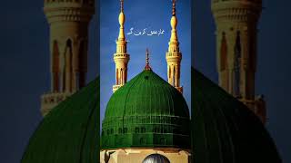 tajleyon ki ajab hai fiza madina main#islamicvideo #naat #shorts #shortsyoutube #viralvideo