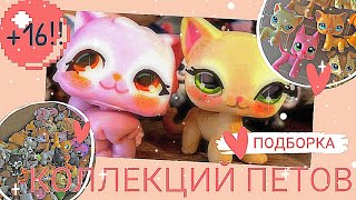 +16 | ПОДБОРКА КОЛЛЕКЦИЙ ПЕТОВ | ЛПС ТИКТОК 2022 АВГУСТ