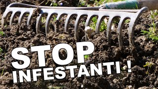 La finta Semina | Stop alle infestanti in orto