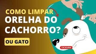 Dica pet: COMO LIMPAR A ORELHA DO PET?  CÃES OU GATOS