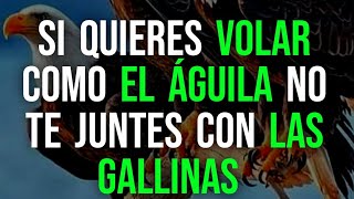 Si quieres volar como el ÁGUILA no te juntes con las GALLINAS