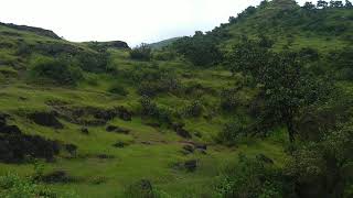 Meruling, Satara