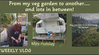 My vegetable garden, days out and a minibreak.