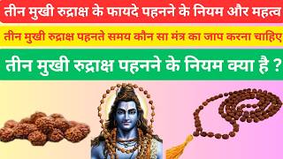 Benefits of Three Faced Rudraksha !! Rules of Wearing Three Faced Rudraksha