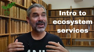 Introduction to ecosystem services | Earth Resources | meriSTEM