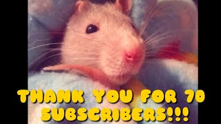 70 Subscriber Special!!