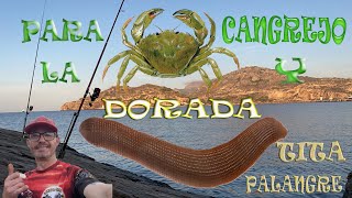 Pesca con CANGREJO Y TITA DE PALANGRE PARA LA DORADA