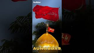 Pak Alim Alamdar | ؑپاک علمدار | #aunabbas #molaabbasas #nohay #shots