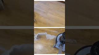 Hard floor cleaning in Plymouth with Captain Rug Wash #asmr #cleanwithme #hardfloorcleaning