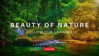 Beautiful Waterfall - Enjoy the serenity #nature #naturelovers #waterfall #earth #travel #youtube