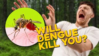 Can Dengue Kill You? What is Dengue Virus (and How to Prepare)