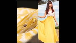 Nagin acterress vs Snake same colour❤❤