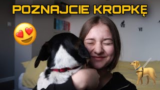 VLOG/ CZY MAM PIESKA?