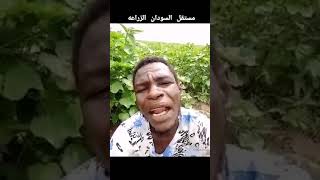 مستقبل السودان