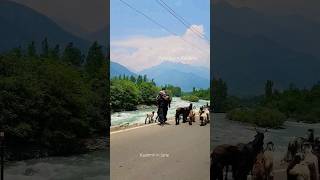 Pahalgam, Kashmir in June   #pahalgam ##kashmir #kashmirtourism #kashmirinjune #jannatekashmir