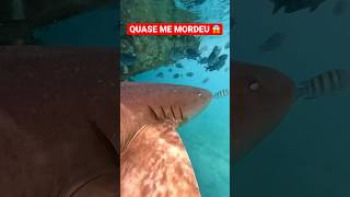 TUBARÃO QUASE ME MORDEU🦈⚠️😱😱 #shorts #short #viral #tubarão