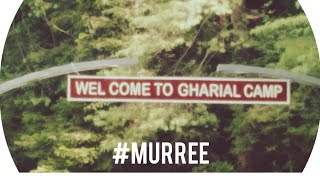 #gharialcamp #murree /some glimpses from this beautiful #hillstation 06.09.2024