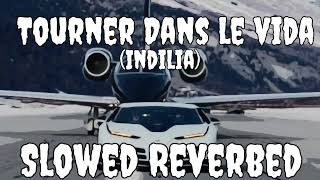 Tourner Dans le vida (Slowed + Reverbed) | Indilia |