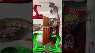 Animal funny video Anaconda snake python in my house in real life bhoot wala usa #bhojpuri #vfx 1