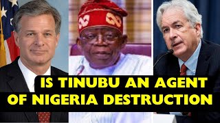 Agent Tinubu: How Tinubu Was Used To Destroy The 3rd Fastest Growing Economy In The World