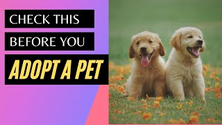 Know this before you adopt a PET