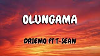 DRIEMO ft T SEAN __OLUNGAMA VIDEO LYRICS ( mzaliwa album )