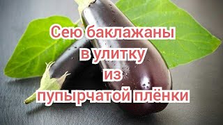 Сею баклажаны 'Русский деликатес' в улитку из пупырчатой плёнки! Баклажаны без пикировки!