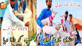 Live interview Logon Ka Sath || Tando adam Bakra Mandi || Latest Updates