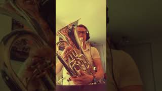 Can You Feel the Love Tonight by Robbert Vos on Euphonium