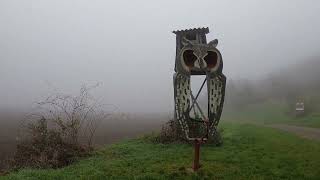 4/5 Jakobsweg Weinviertel, Stockerau (NÖ) - Kirchberg am Wagram (NÖ)