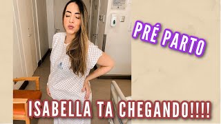 Pré parto. Isabella está chegando