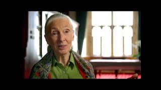 Dr. Jane Goodall in CODE of SURVIVAL