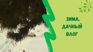 🌲❄❄❄Дачный влог. Зимой на дачу