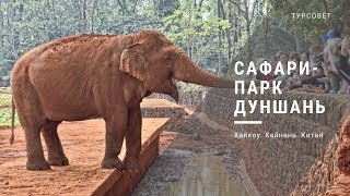 Сафари-парк Дуншань в Хайкоу. Хайнань. Китай