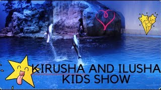 DOLPHIN SHOW CHICAGO  SHEDD AQUARIUM !!!!