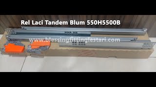 Rel Tandem Blum Single 55 cm slowmotion