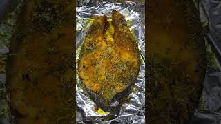 #bakedsalmon #bigfish #salmonrecipes (oregano, turmeric , rosemary, 1lb fish, baked at 410 F)