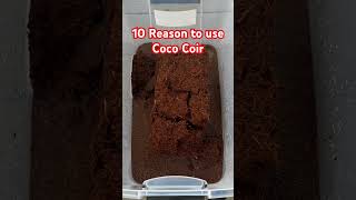 Know These 10 Reasons To Use Coco Coir