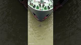 Ship#river #shipping #Bulbas bow