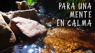 Sonidos de la Naturaleza 😌Para Calmar la Mente y Relajar el Cuerpo  - Sonido de Agua y Pajaritos