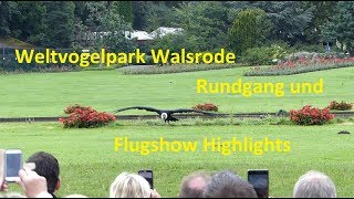 Weltvogelpark Walsrode - Rundgang und Flugshow Highlights