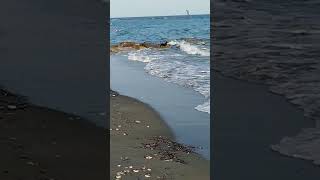 Кипр, собачка переживает за хозяев! 🐶🌊♥️ Cyprus. The dog is worried about its owners