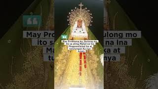 May Problema ka Ibulong Mo ito kay Mama Mary #mamamary #avemaria #fyp #prayer #jesus #lord #shorts