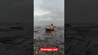 Penunggu Laut,#shorts